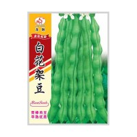 重慶本地受歡迎的四季豆品種，好吃好賣不易老化帶小時候的清香味