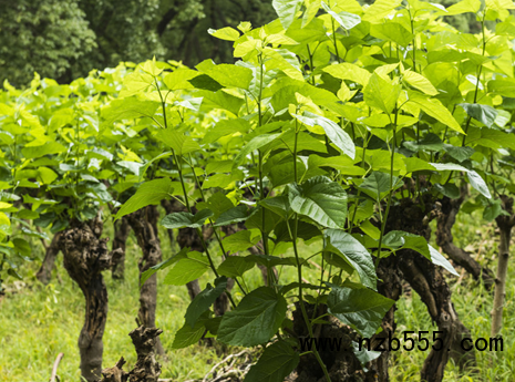 微信截圖_20210402190841