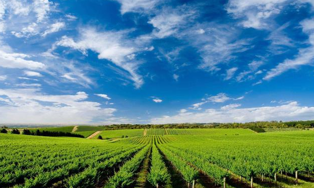 微信截圖_20210425145907