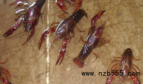 微信截圖_20210513175507