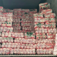 日銷40000斤娃娃菜，求貨源