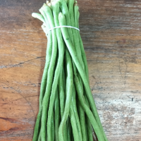 求購 日銷30000斤豆角，求量大貨