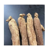 集安無糖紅參條丁長白山紅參個6年根吉林東北特產人參干產地批發(fā)