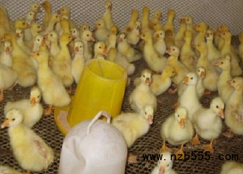 微信截圖_20211029110107