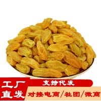 工廠批發代發新疆樹上黃葡萄干散裝袋裝無核大顆粒吐魯番黃葡萄干