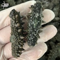 大連大火拉缸鹽半干原料批發(fā)可做國(guó)標(biāo)干貨即食海參