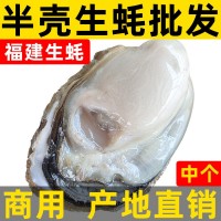 福建冷凍開(kāi)半殼生蠔 產(chǎn)地直銷鮮活牡蠣海鮮水產(chǎn) 燒烤自助生蠔批發(fā)