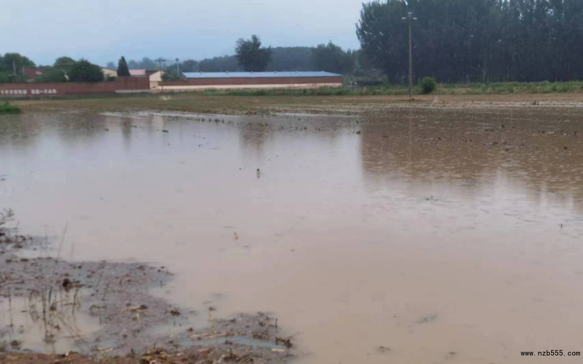密云河南寨大豆種植地塊積水嚴重。北京市農(nóng)業(yè)技術推廣站供圖