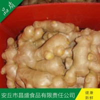 出口歐美、加拿大、荷蘭、英國級保鮮姜、風(fēng)干姜（價(jià)格面議）
