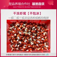速凍單凍干凍冰凍小龍蝦蝦尾100粒一級二級三級干貨原料成噸批發