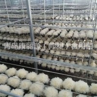 青島康麗源出口銀耳菌棒，銀耳菌包（日本雪耳）