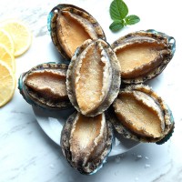 閩正煮凍鮑魚4頭-32頭鮑魚OEM、ODM定制生產來料加工海鮮水產凍品  2斤起批