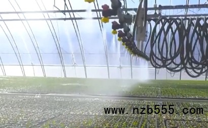 微信截圖_20250324160422