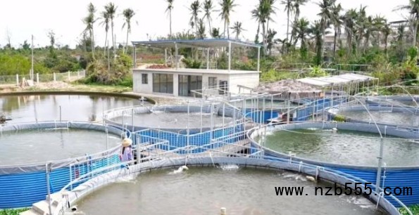 微信截圖_20250324160746