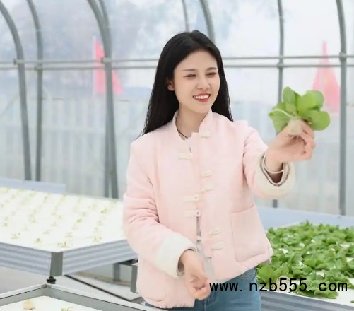 微信截圖_20250331164533