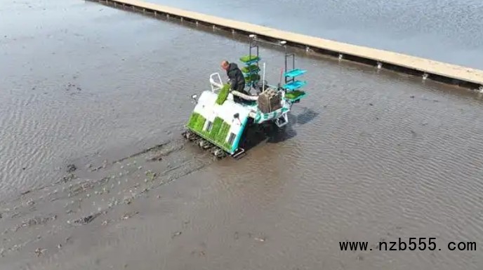 微信截圖_20250506170554