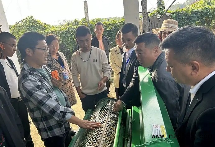 微信截圖_20250515165157