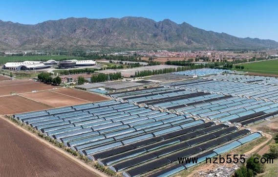 微信截圖_20250519114623