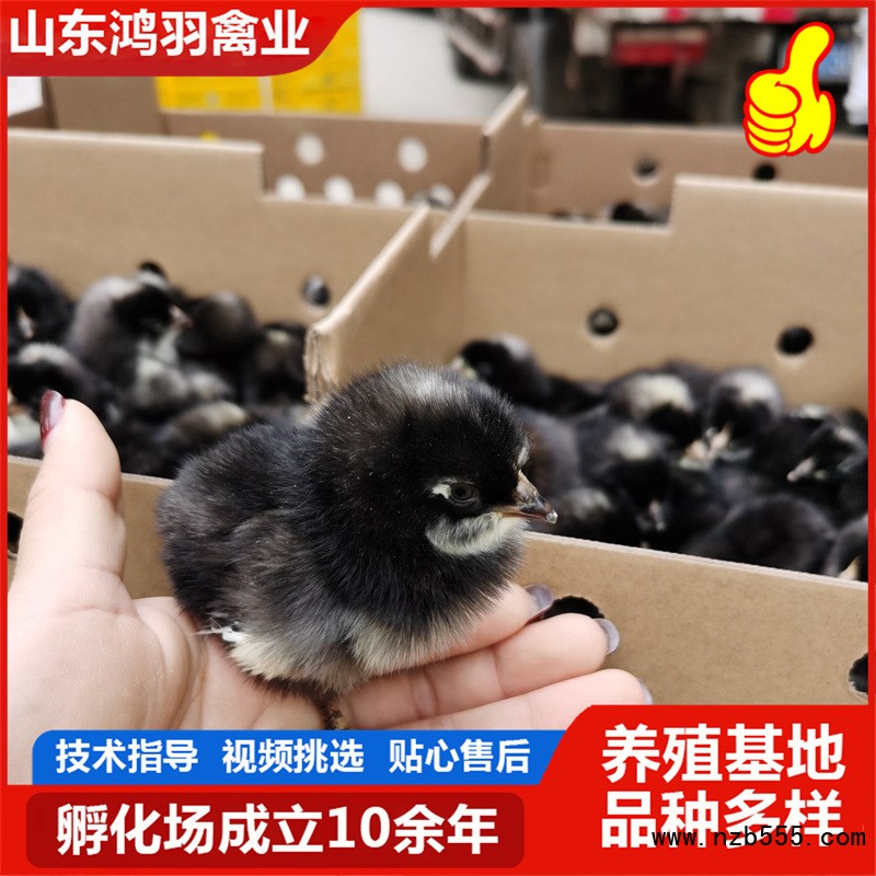 O1CN01cFC4Oh25ghiMMgedi_!!2219512337556-0-cib