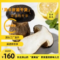 黑牛肝菌批發包郵煲湯菌菇人工挑選大片好貨原產地直發