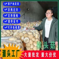 古田猴頭菇干貨粉猴頭菌原料剪根剪腳無硫散裝食用菌批發(fā)出口級