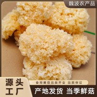 椴木銀耳 天然椴木培育無硫熏易出膠 軟糯多膠 農家干貨 廠家直批