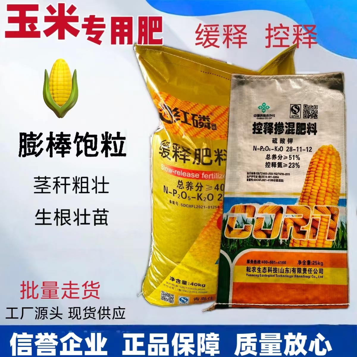 O1CN01iAKJos1P2CqfxUL3O_!!2217506981782-0-cib