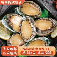 新鮮冷凍大號(hào)鮑魚現(xiàn)貨速凍鮑魚佛跳墻原料帶殼鮑魚海鮮水產(chǎn)批發(fā)