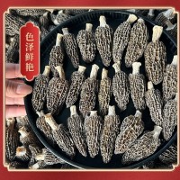 四川金堂縣羊肚菌干貨批發多規格抖音拼多多代發營養煲湯菌菇菌子