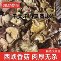 精品香菇干貨西峽產地工廠直銷精選大片香菇大厚菇實力工廠