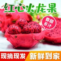 紅心火龍果新鮮正宗水果一整箱時(shí)令當(dāng)季果肉飽滿紅肉水果新品