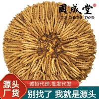 【一手貨源】人工養(yǎng)殖冬蟲夏草批發(fā)蟲草生態(tài)繁育西藏林芝一公斤