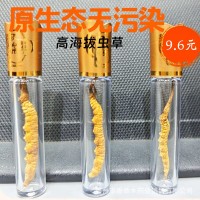 【凍干蟲草】蟲草干貨蟲草禮盒滋補品冬蟲夏草禮盒批發產地直供