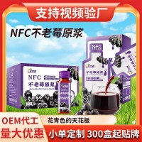 NFC不老莓濃縮原漿汁批發(fā)代發(fā)原液不老莓原漿飲品袋裝源頭工廠