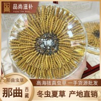 西藏那曲蟲(chóng)草 高海拔頭期冬蟲(chóng)夏草 曬干足干冬蟲(chóng)夏草批發(fā)蟲(chóng)草批發(fā)