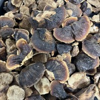 正宗長白山小靈芝整朵金邊靈芝250克干貨煲湯泡水泡酒裝禮盒款