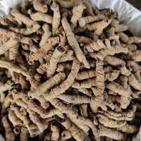 巴戟天批發(fā)中藥材巴戟肉各種規(guī)格產(chǎn)地大貨供應(yīng)