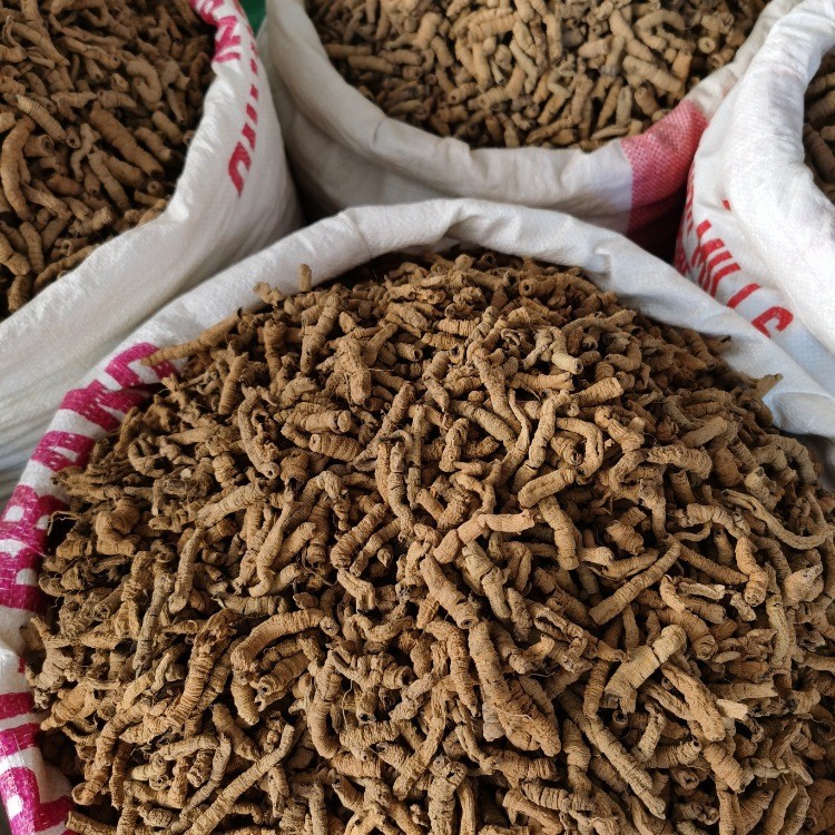 O1CN019LWqur2A3ppzeP13Q_!!3692608148-0-cib