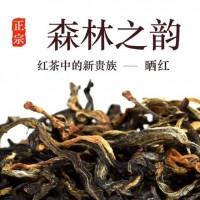 滇紅勐海古樹曬紅2025年頭春茶高濃香薯香木香茶葉500克批發(fā)