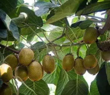 ScreenShot_2026-03-18_172052_686