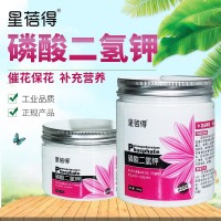 星蓓得磷酸二氫鉀花卉多肉磷鉀肥家用養花葉面肥催花保花肥500克