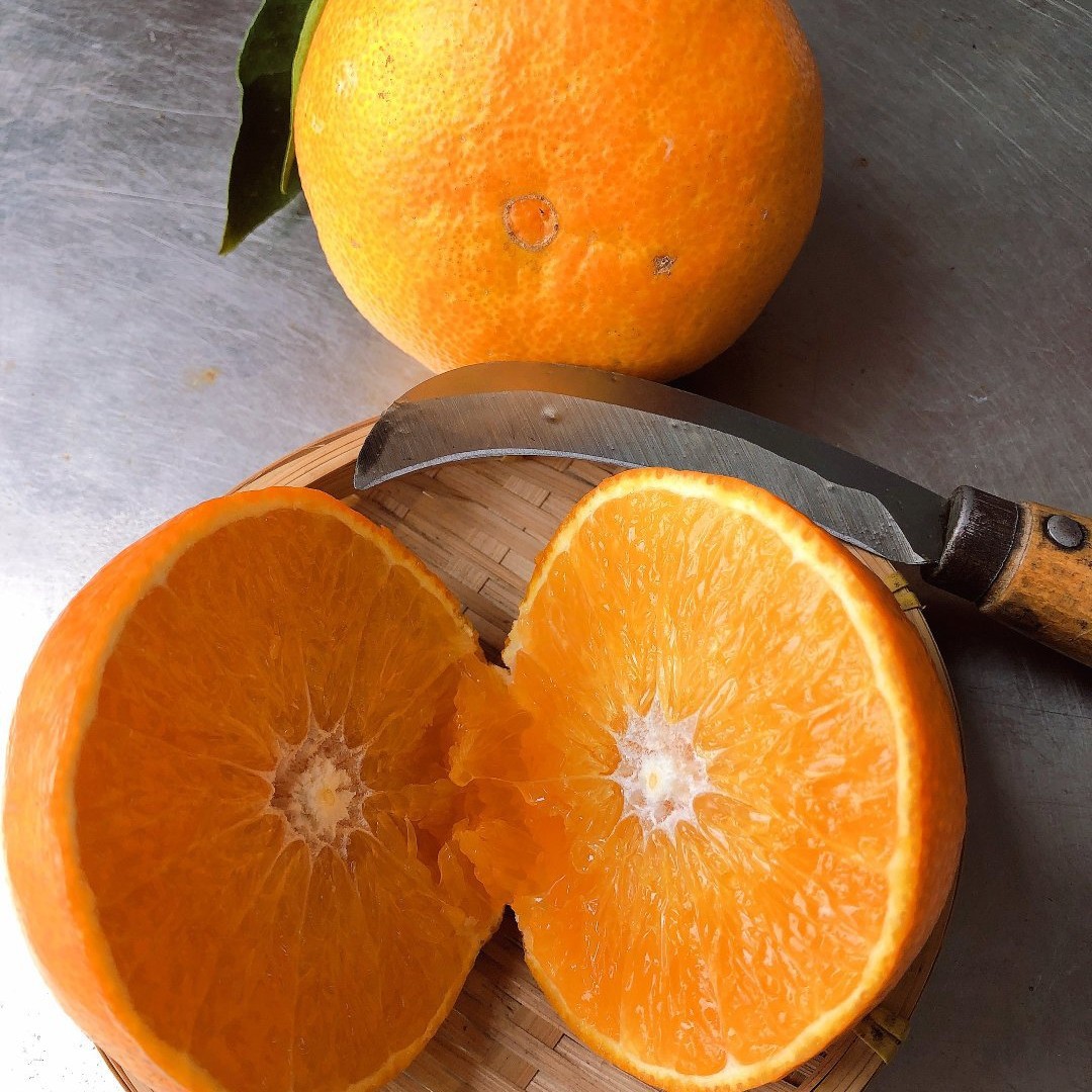 O1CN01OZonIQ2GDoYOuRGPu_!!2693248982-0-cib