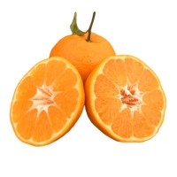 四川春見耙耙柑新鮮水果當(dāng)季整箱正宗橘子丑柑橘耙耙柑桔大果包郵