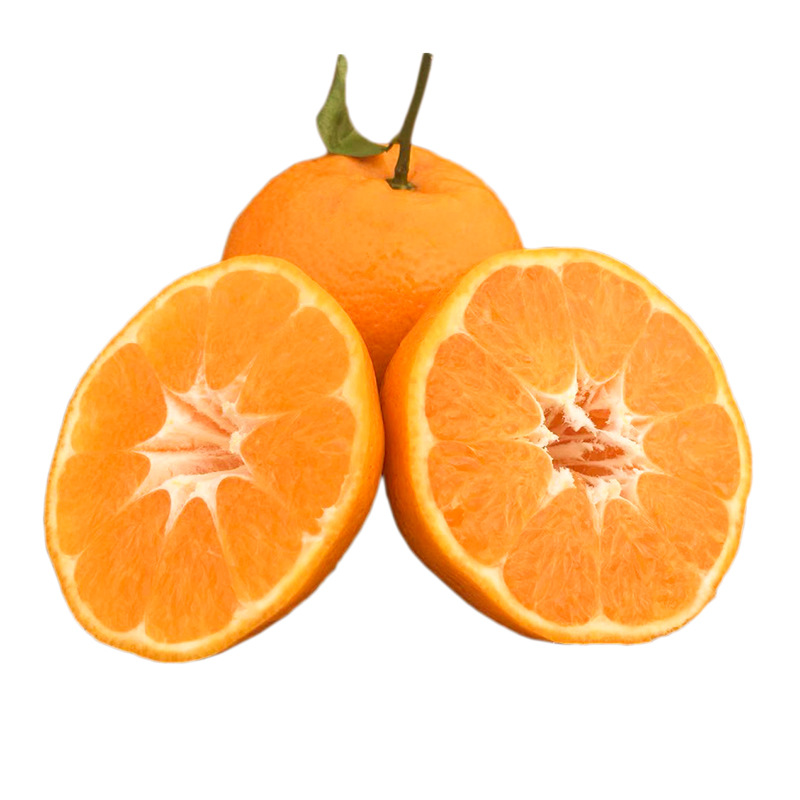 10169426467_1421287580