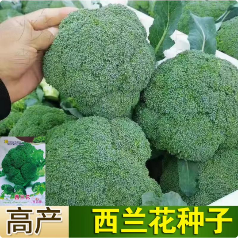 O1CN01h93qxl1XFxjZUrXPh_!!2216206982895-0-cib