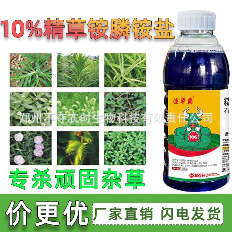 O1CN019bc6o12DZqeeunsYU_!!2215868088624-0-cib