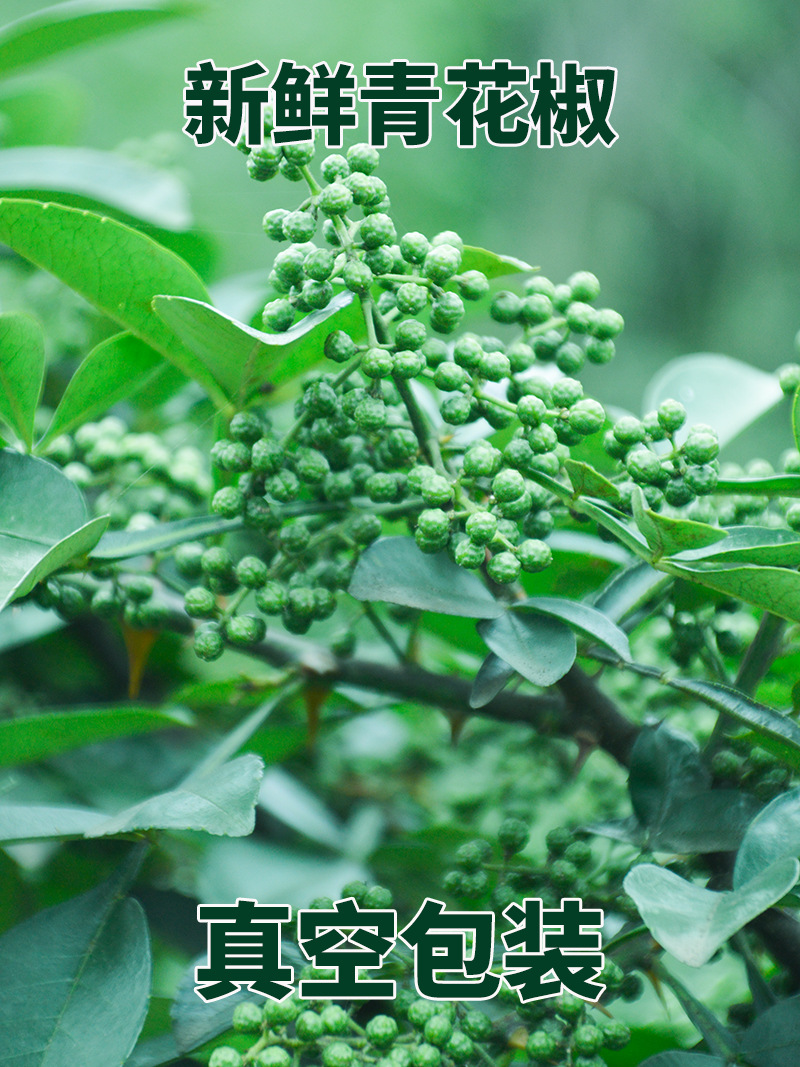 O1CN01dMPeK42B00Mg4mFyd_!!935798275-0-cib