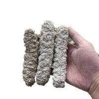 黃玉參海參水產干貨8-120頭王玉參海參批發(fā) 淡干刺王海參500克