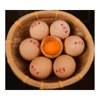 廣西雞蛋農場直發鮮雞蛋整箱批發一件代發生鮮20枚裝生鮮農產品