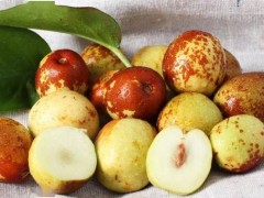 冬棗怎么種植？冬棗的正確種植方法